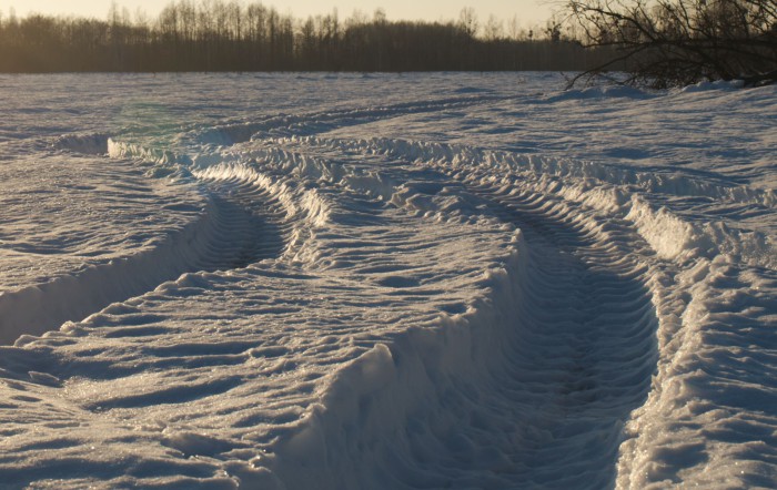 DSC_2370