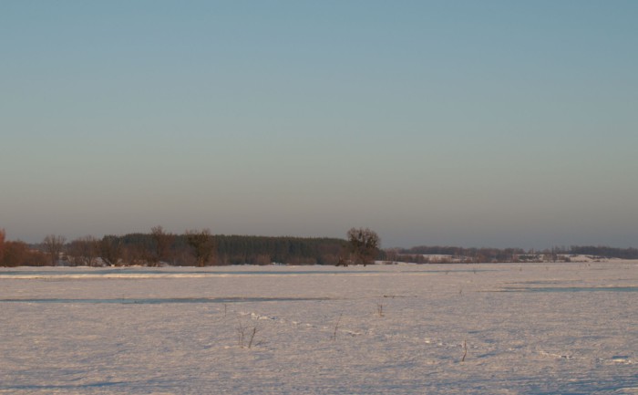DSC_2408