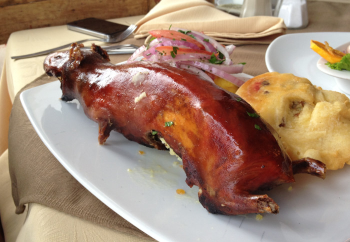 cuy-guinea-pig