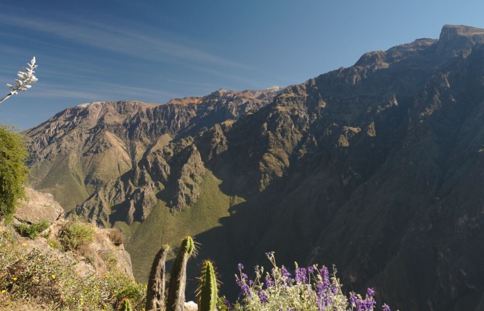 peru_0231
