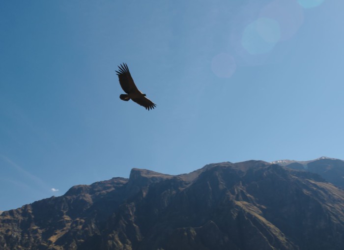 peru_0235