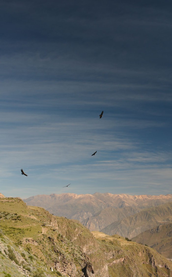 peru_0241