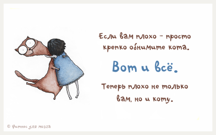 Обними кота!