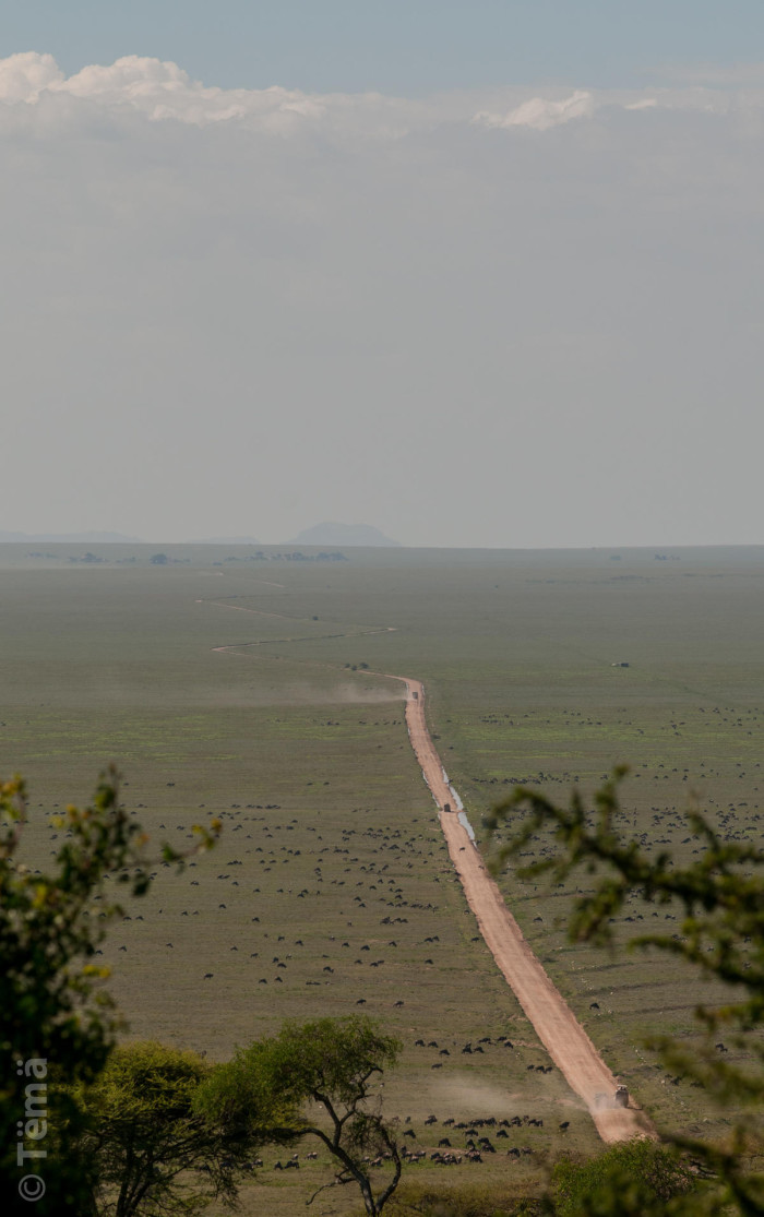 20140222-9462