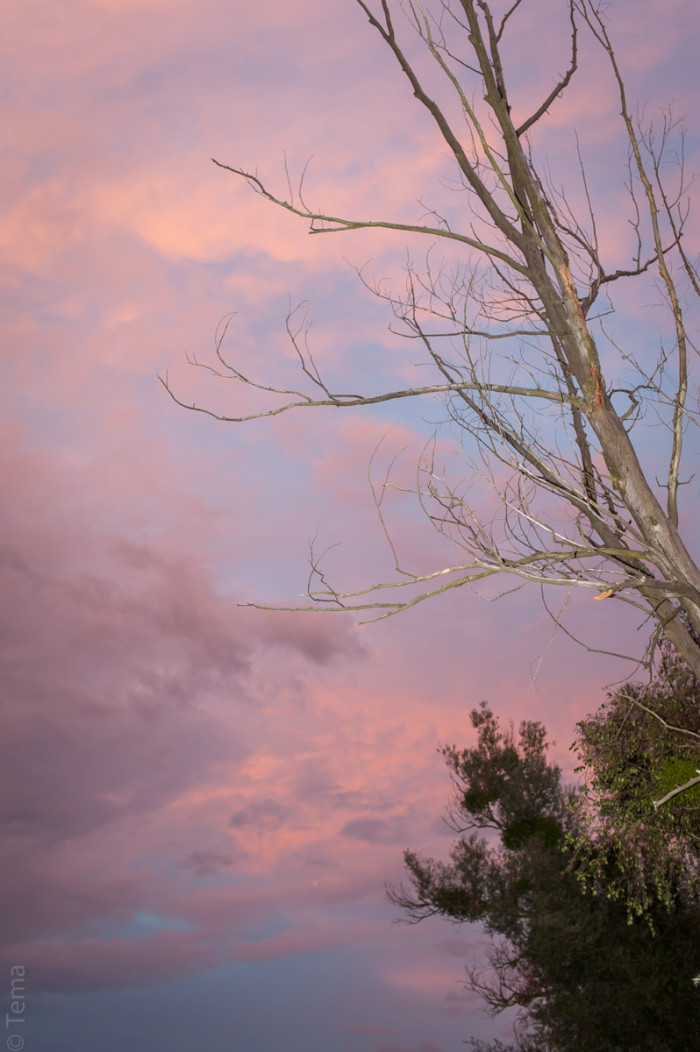 20140719-1877