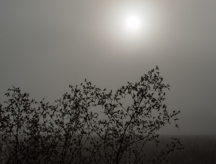 20140927-2925