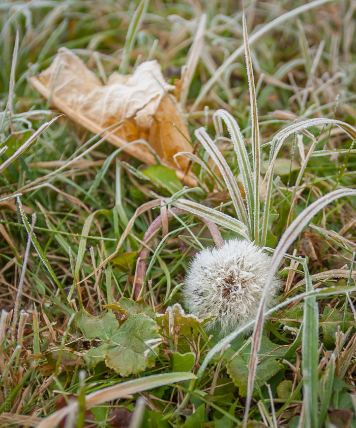 20141102-3566-2