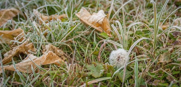 20141102-3566