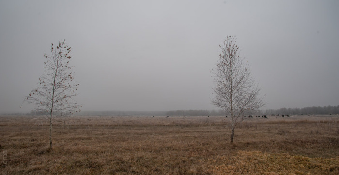 20141102-3567