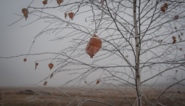 20141102-3569