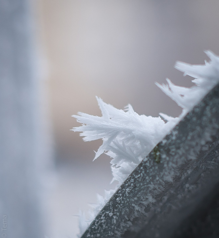 20141206-3583