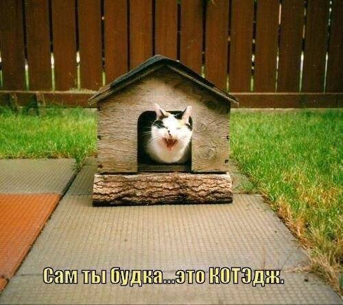 КОТЭ
