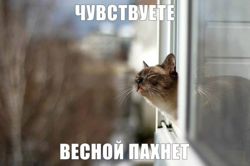 весной пахнет