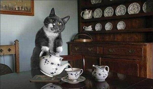 IMG_4606