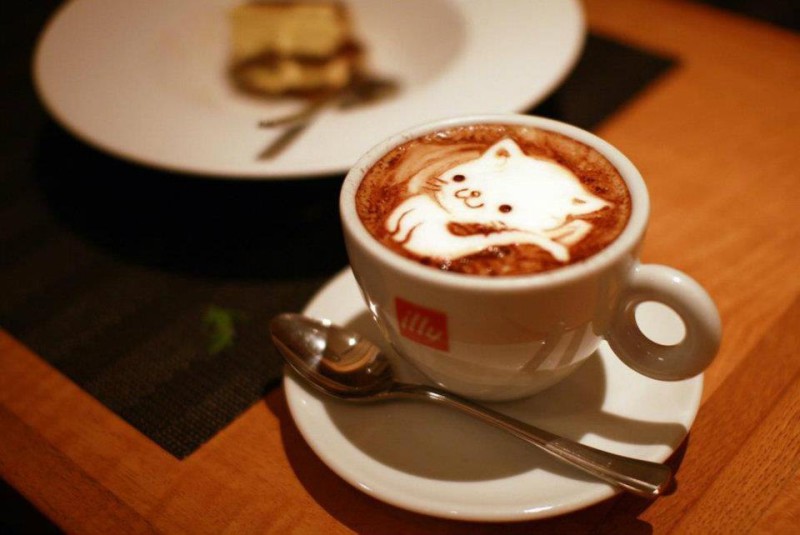 cat-morning