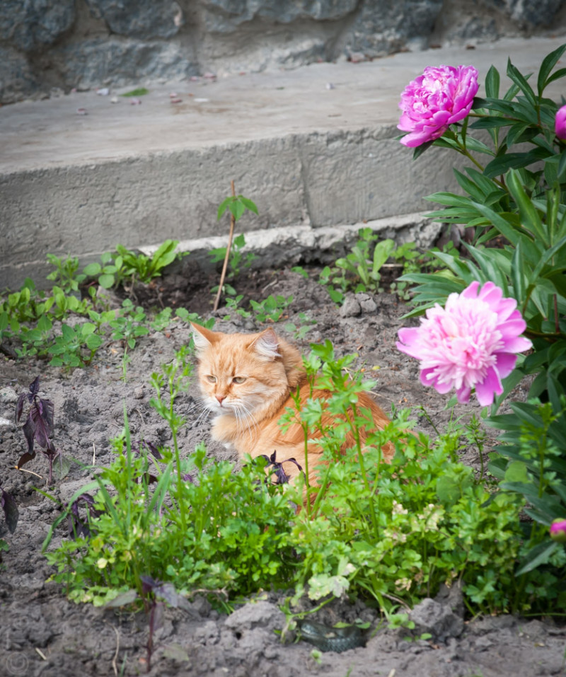 20150601-6596