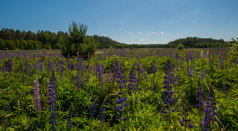 20150606-6761