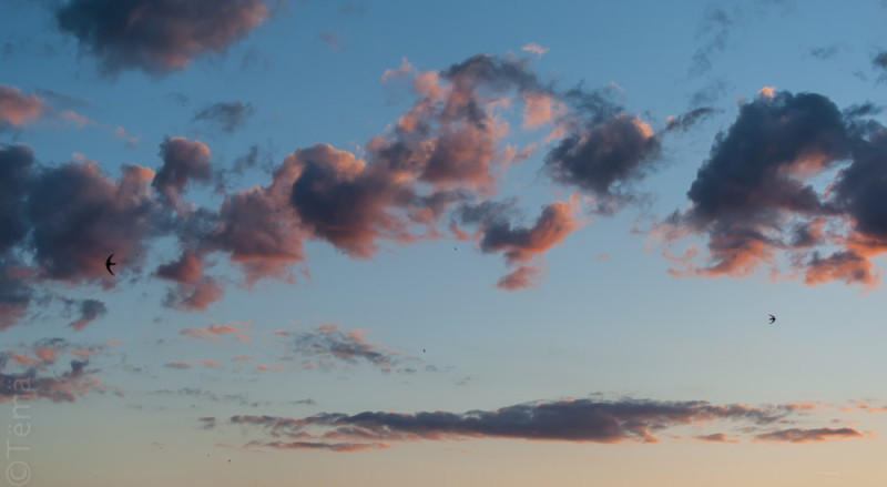 20150617-6807