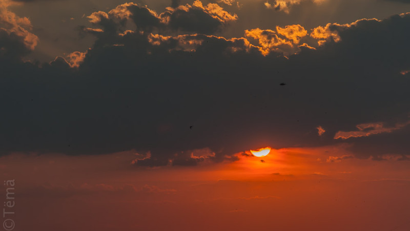 20150706-6817