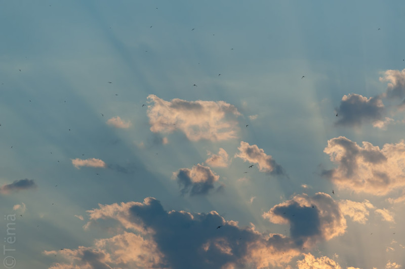20150706-6825