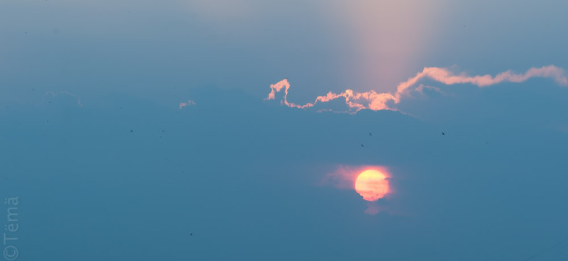 20150708-6854