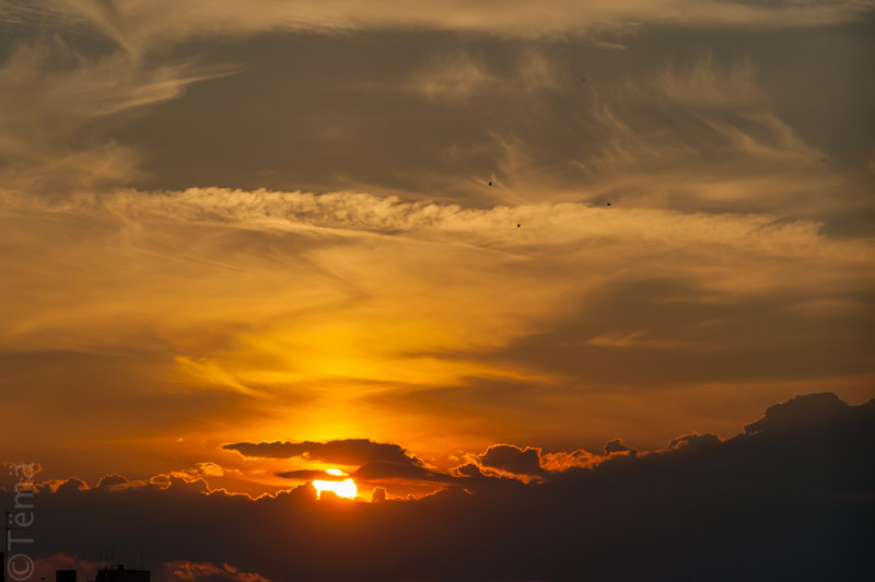 20150728-6919