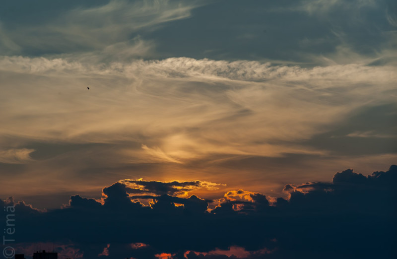 20150728-6927