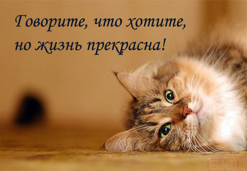 ad8a12b55f9f712f52f0cde151476a66