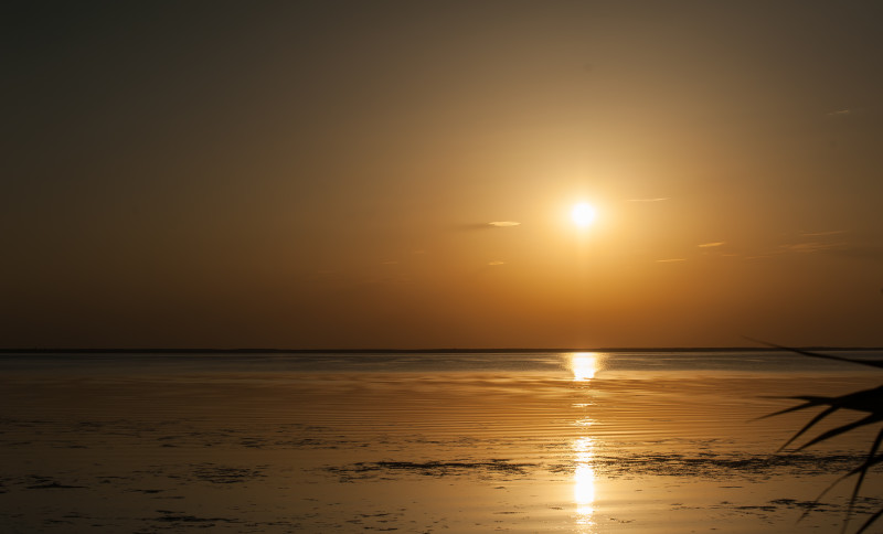 20150804-6934