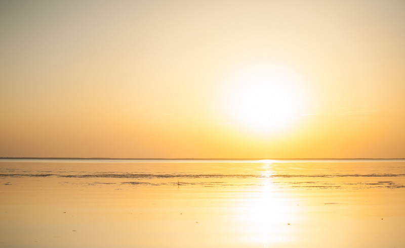 20150804-6946