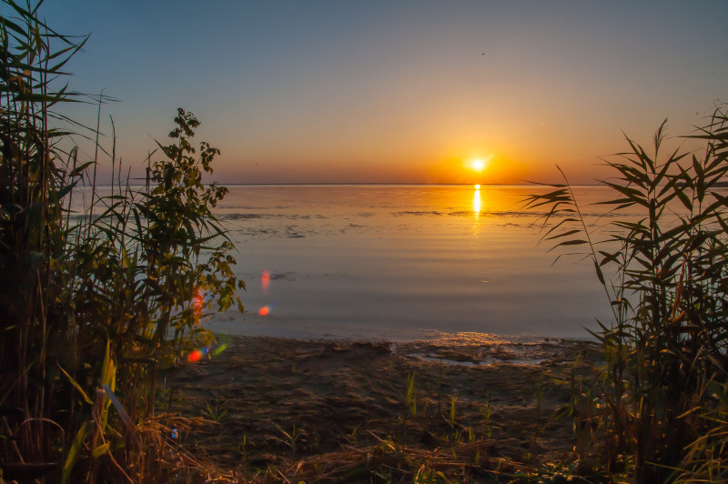 20150804-6959