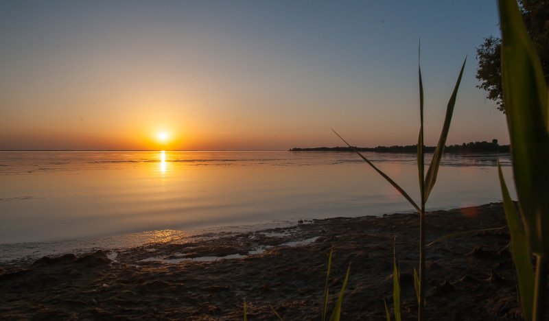 20150804-6962