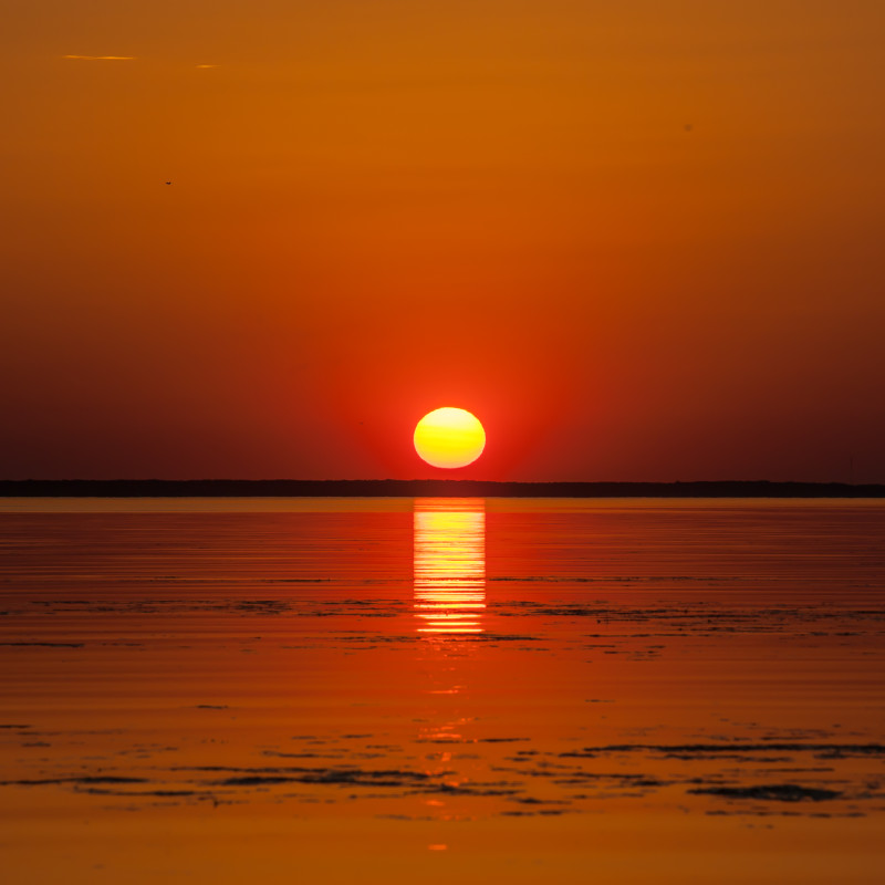 20150804-6984