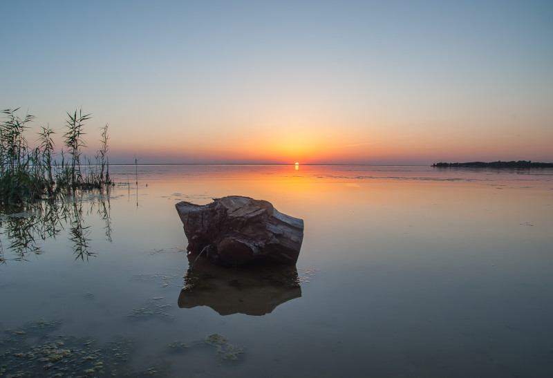 20150804-6994