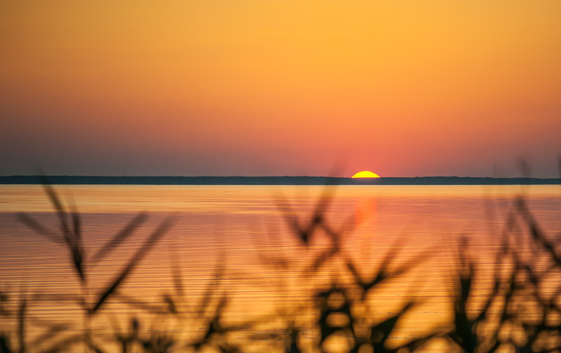 20150804-7000