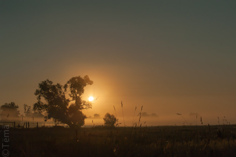 20150807-7069