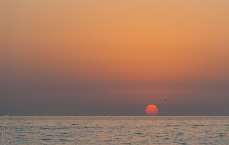 20150925-7178