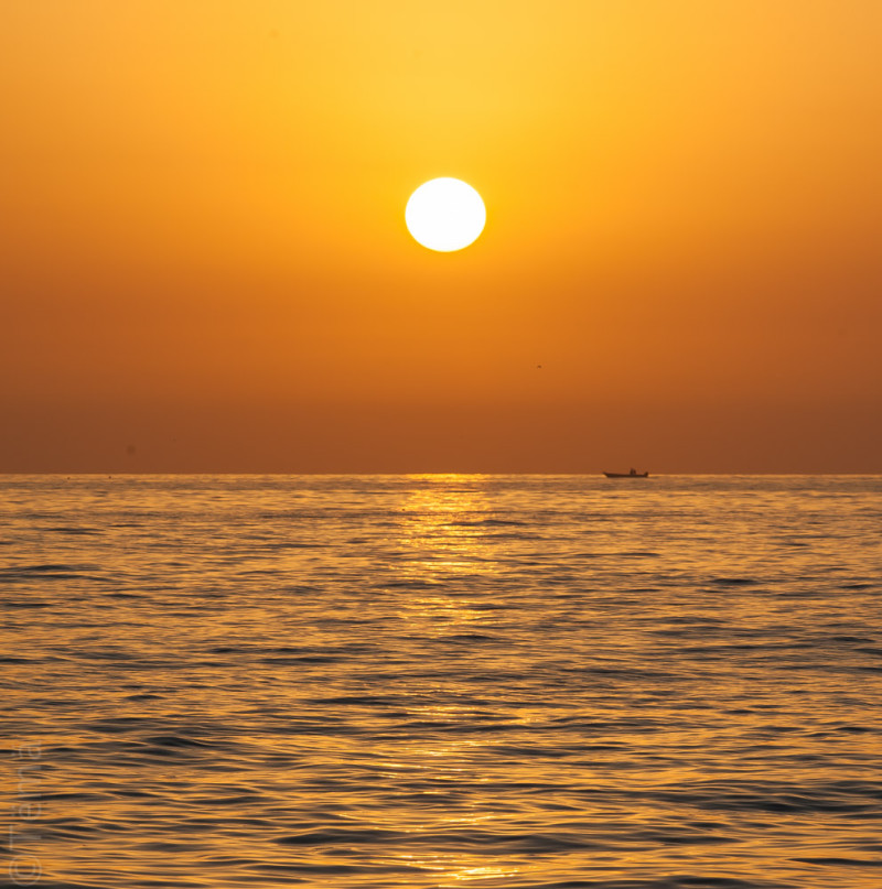20150925-7233-2