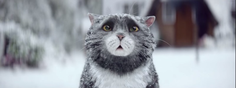 MOG_cat_xmas