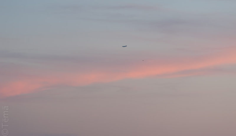 20160619-4199