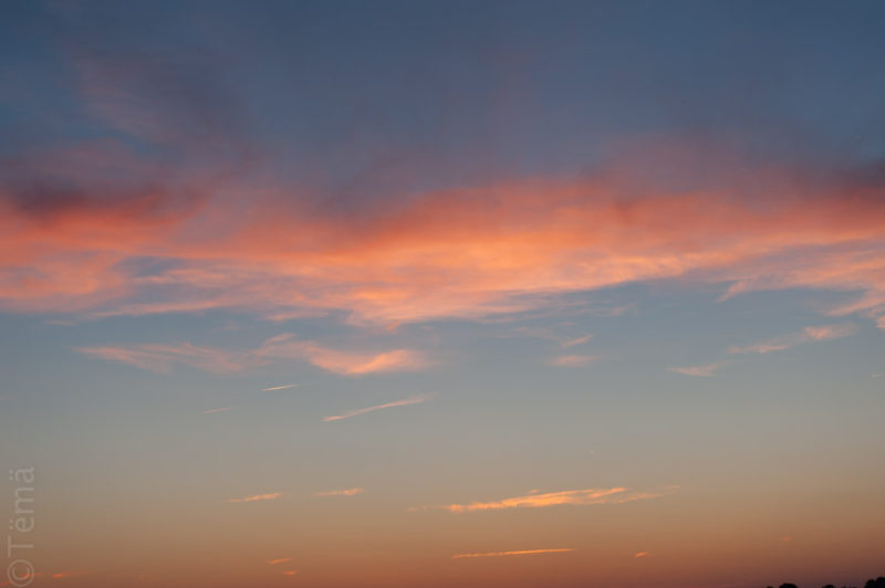 20160619-4222