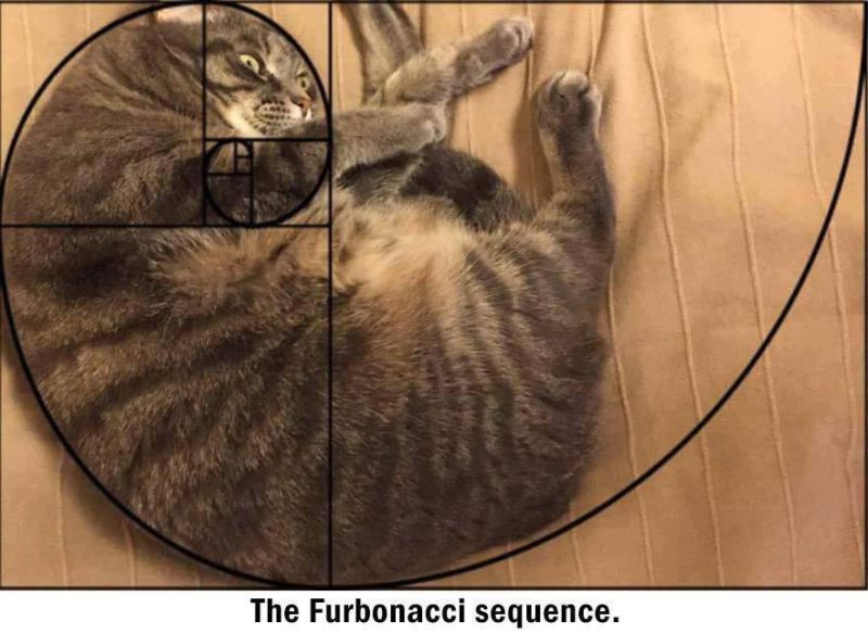 golden-section